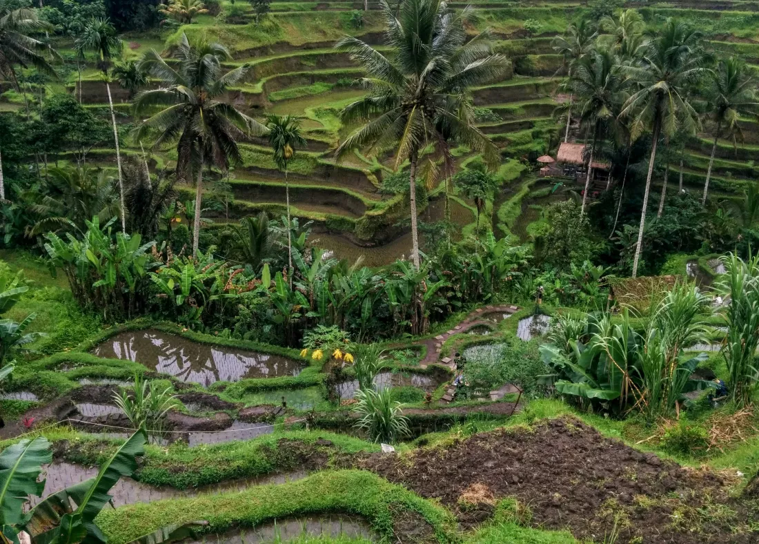 mojca-babovic-Jc27qdspATo-unsplash